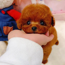 Load image into Gallery viewer, 🔥REALISTIC TEDDY DOG LUCKY - $29.80 ONLY LAST 2 DAYS🔥