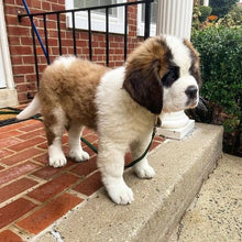 Load image into Gallery viewer, 🔥REALISTIC TEDDY DOG LUCKY - $29.80 ONLY LAST 2 DAYS🔥
