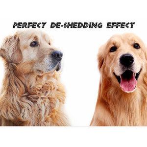 (🎇New Year Sale🎇- 48% OFF) Pet Safe Dematting Comb - Buy 2 get 10% OFF